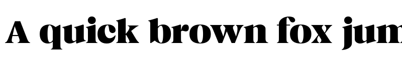 Preview of Magnivera Trial Heavy font