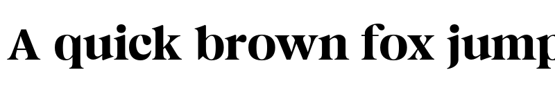 Preview of Magnivera Trial Medium font