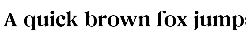 Preview of Magnivera Trial Regular font