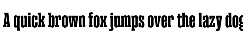 Preview of Magno Serif Trial Extrabold font