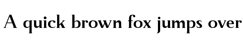 Preview of Manfitte Bold font