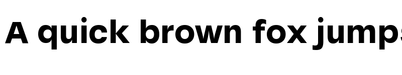 Preview of McQueen Grotesk Trial Black font