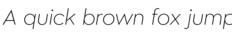 Preview of Megabyte Light Italic font