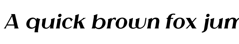 Preview of Melion Extra Black Italic font