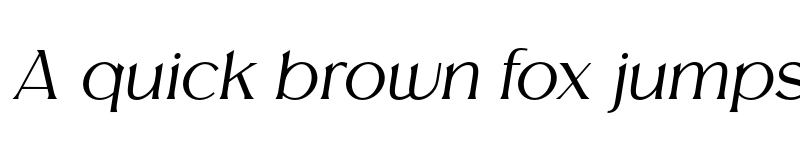 Preview of Melion Thin Italic font