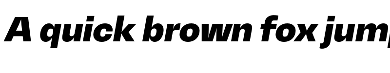 Preview of Mena Grotesk Black Italic font