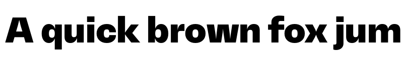 Preview of Mena Grotesk Black font