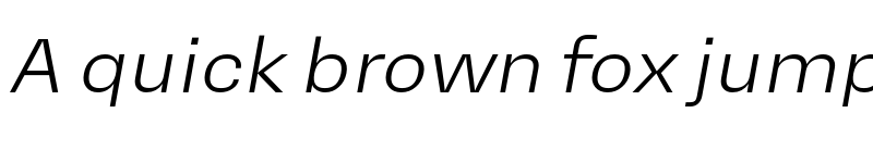 Preview of Mena Grotesk Light Italic font