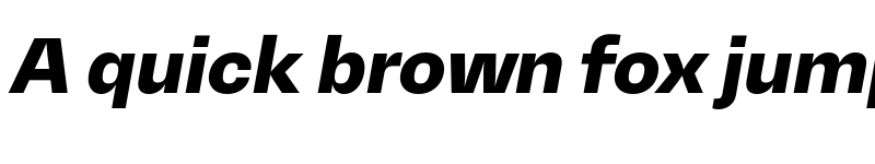 Preview of Mena Grotesk UltraBold Italic font