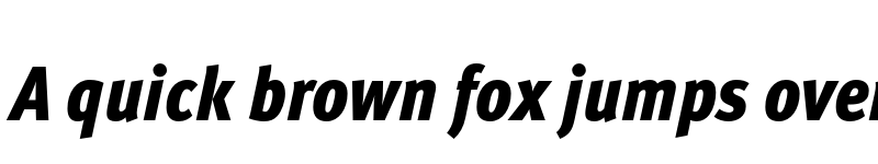 Preview of Meta Pro Condensed Black Italic font