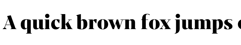 Preview of Mixta Didone Alt Black font