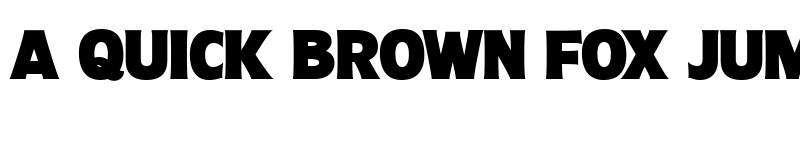 Preview of Molly Sans C PERSONAL Black font