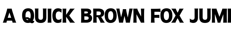 Preview of Molly Sans C PERSONAL Bold font