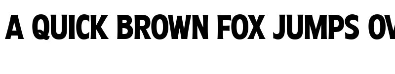 Preview of Molly Sans XC PERSONAL Bold font