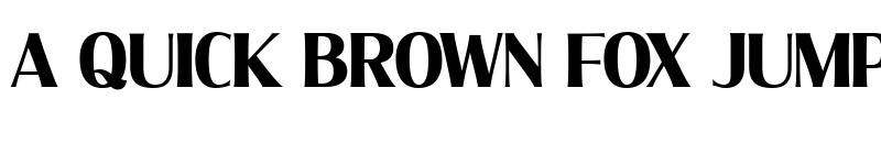 Preview of Molly Serif C PERSONAL Bold font