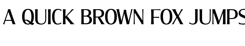 Preview of Molly Serif C PERSONAL Medium font