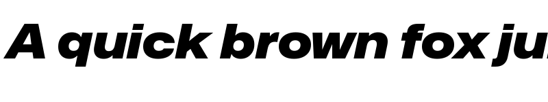 Preview of Mona-Sans Black Wide Italic font