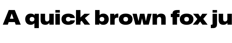 Preview of Mona-Sans Black Wide font