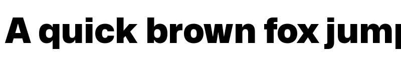 Preview of Mona-Sans Black font