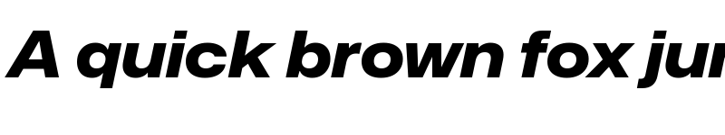 Preview of Mona-Sans ExtraBold Wide Italic font