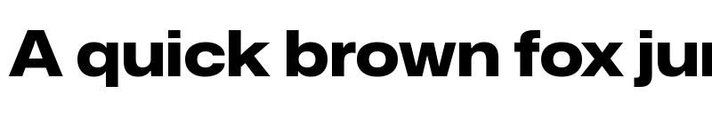 Preview of Mona-Sans ExtraBold Wide font