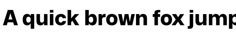 Preview of Mona-Sans ExtraBold font