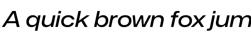 Preview of Mona-Sans Medium Wide Italic font