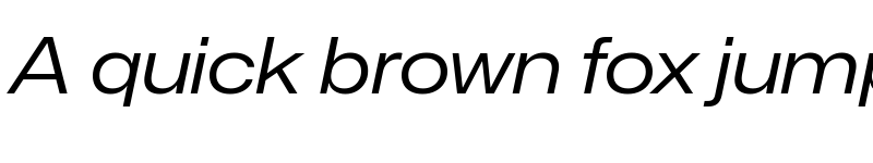 Preview of Mona-Sans Regular Wide Italic font