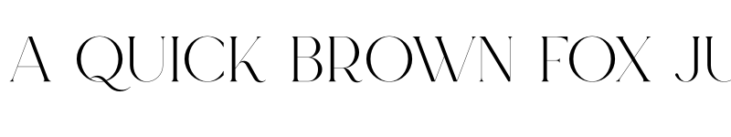 Preview of Moon Type Free Demo font