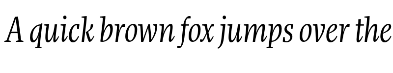 Preview of More Pro Cond Book Italic font