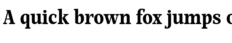 Preview of Mountella Trial Bold font