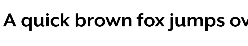 Preview of Mr Eaves XL San OT Bold font