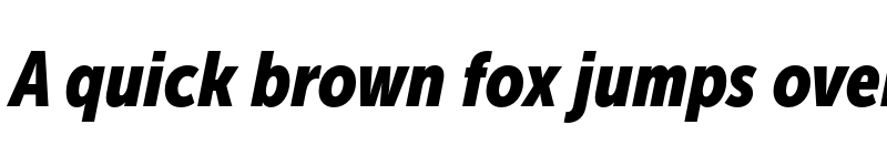 Preview of Museo Sans Cond 900 Italic font