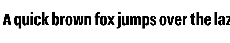 Preview of Narkiss Tam Condensed Bold font