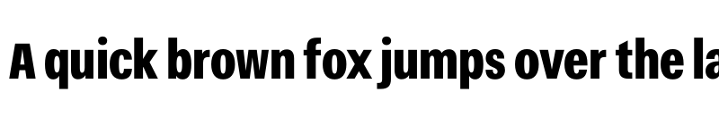 Preview of Narkiss Tam Condensed Heavy font