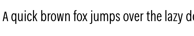 Preview of Narkiss Tam Condensed Light font