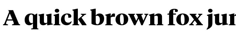 Preview of Navitism Bold font