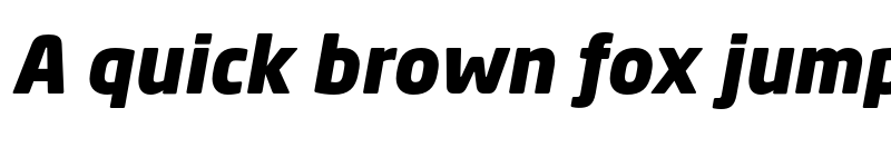 Preview of Neo Sans Std Black Italic font