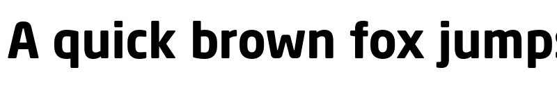 Preview of Neo Sans Std TR Bold font