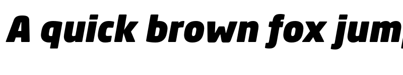 Preview of Neo Sans Std Ultra Italic font