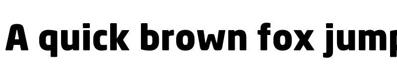 Preview of Neo Sans TR Black font