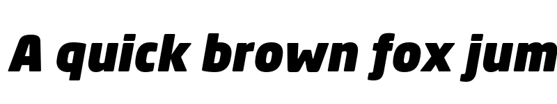 Preview of Neo Sans TR Ultra Italic font