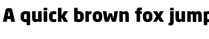 Preview of Neo Sans W1G Black font