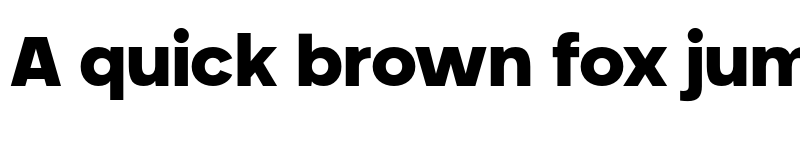 Preview of Neometric Black font