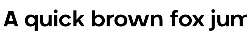 Preview of Neometric Bold font