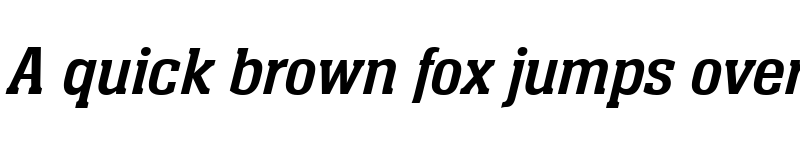 Preview of Neue Aachen Pro Italic font