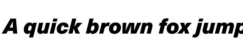 Preview of Neue Haas Unica W1G Black Italic font