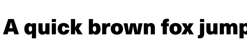 Preview of Neue Haas Unica W1G Black font