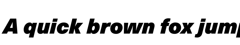 Preview of Neue Haas Unica W1G ExtraBlack Italic font