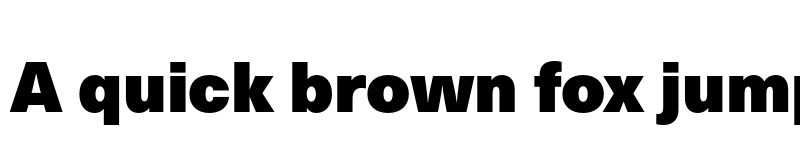 Preview of Neue Haas Unica W1G ExtraBlack font